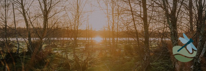 ENTEGA Moorschutzversprechen